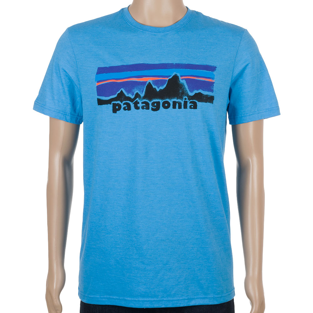 Buy Patagonia Mens Legacy Label T-Shirt at Skate Pharm