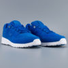 D.C. Lynx Lite Shoes Blue